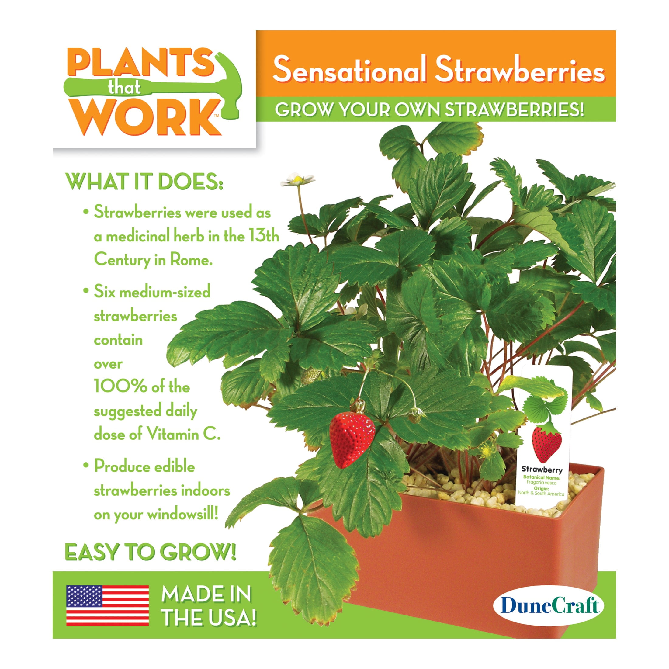DuneCraft Plants That Work Sensational Strawberries
