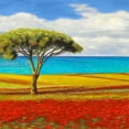 thumbnail image 2 of Angelo, Masera 12x12 White Modern Wood Framed Museum Art Print Titled - Mediterraneo I, 2 of 4