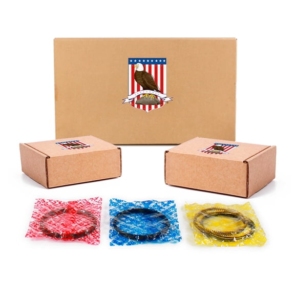 DNJ RRK900 Re-Ring Kits Set Fits Cars & Trucks 85-95 Toyota 2.4L SOHC