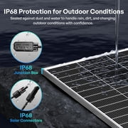 Renogy 100 Watt 12 Volt Bifacial Solar Panel, High Efficiency Monocrystalline PV Module, Power Charger for RV Marine Rooftop Farm Battery, Single 100W