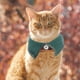 thumbnail image 4 of KAKOWELY Collar para gato, lindo collar para gatito con cascabel, collar a cuadros para gato, collar ajustable para mascota, 4 of 5
