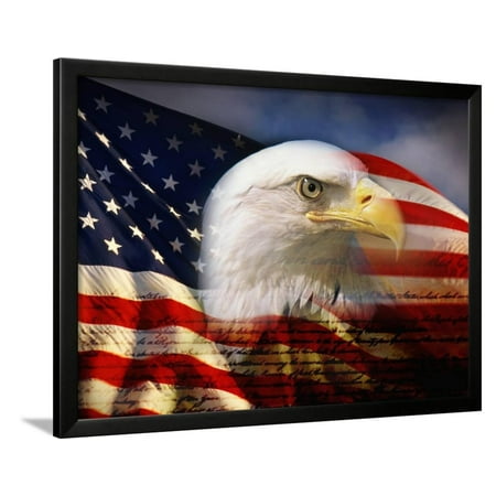bald eagle head and