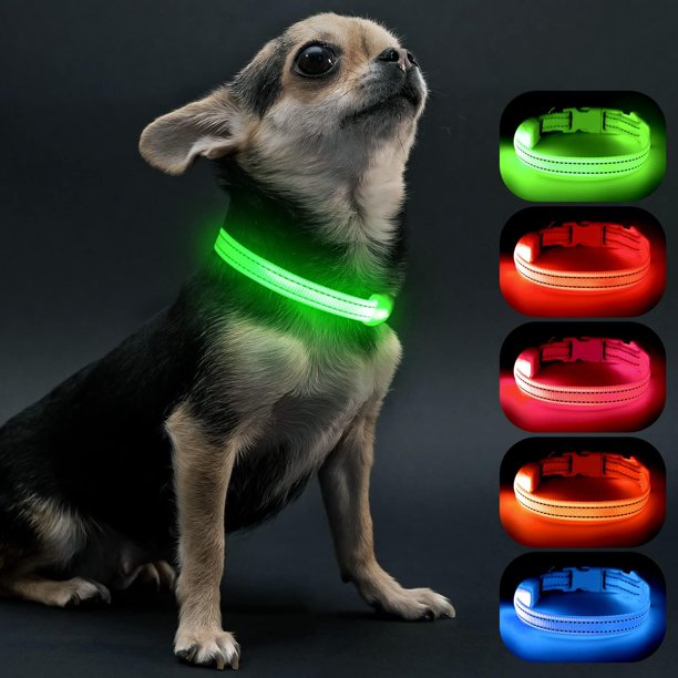 Collar LED Visinite Light Up para perros pequeños, color verde