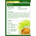 Traditional Medicinals Organic Herbal Tea Fennel, 16 Bags