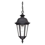 Nuvo Lighting 62038 - 1 Light 9" Satin Iron Ore Seeded Mist Glass Shade Hanging Lantern Light Fixture (60-2038)