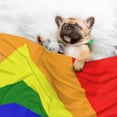 thumbnail image 2 of Dog Blanket Pride Rainbow Flag Soft Dog Blankets for Small Medium Dogs Pet Cat Puppy Blanket Mat Cover, 2 of 7