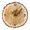 B, variant on Vintage Grains Annual Rings Wall Clock with Quiet Quartzs Movement for Living Room and Operated