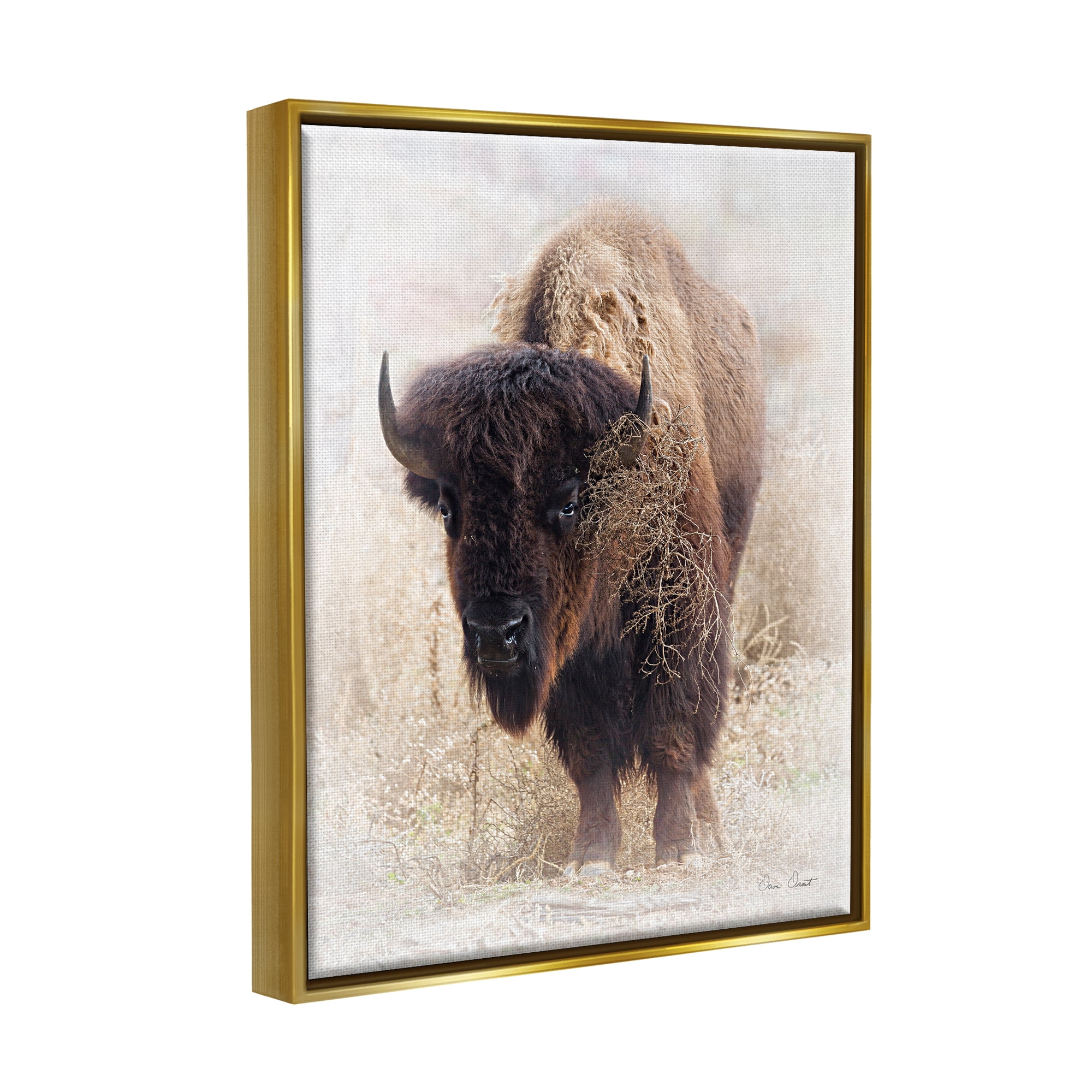 Stupell Industries Bison Grazing Photography Animals & Insects Painting Gold Floater Framed Art Print Wall Art, 25 x 31