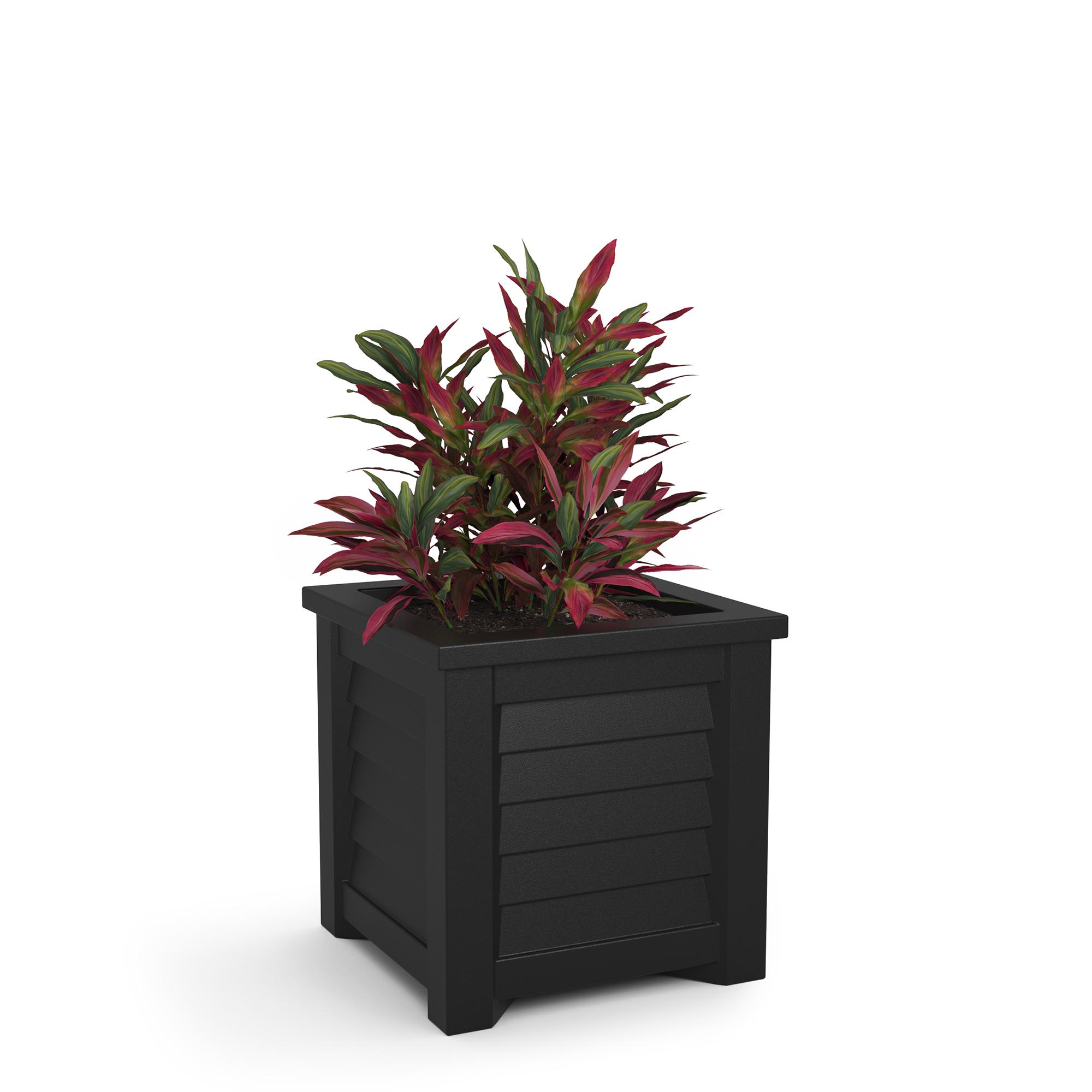Mayne Lakeland 16" x 16" x 16" Square Black Self Watering Plastic Planter