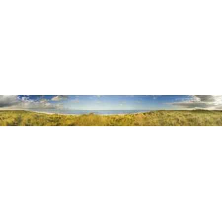 Grass on the beach Horsey Beach Norfolk England Canvas Art - Panoramic Images (22 x (Best Grass For New England)
