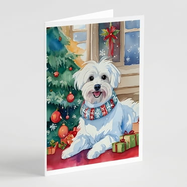 Maltese Christmas Greeting Cards Pack of 8 7 in x 5 in