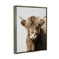 thumbnail image 4 of Stupell Industries Highland Cattle Close-Up Animals & Insects Photography Gray Floater Framed Canvas Art Print Wall Art, 25 x 31, 4 of 10