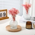thumbnail image 6 of Dried Babys Breath Flowers Bouquet,Preserved Baby's Breath,Dried Pink Gypsophila Branches,Long Lasting Flowers,Dry Flowers Bulk for Wedding Valentine's Day DIY Headdress Wreath Floral Vase,50 Pcs 5'', 6 of 7