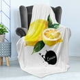 thumbnail image 4 of Fruit Soft Flannel Fleece Throw Blanket, Citrus Lemon with Watercolor Effect Vegan Ingredient Sour Food Sketch, Cozy Plush for Indoor and Outdoor Use, 50" x 60", Green Yellow and Black, by Ambesonne, 4 of 5