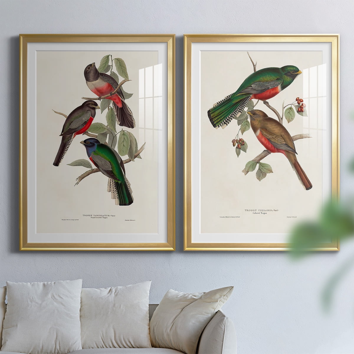 Wexford Home Elegant Trogons V Premium Framed Print, 18.5" x 24.5" - Ready to Hang, Gold (Set of 2)