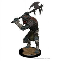 Dungeons & Dragons Nolzur`s Marvelous Unpainted Miniatures: W01 Gnolls