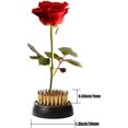 thumbnail image 2 of 10 Uds Kenzan 34mm/1,34 pulgadas de diámetro Floral Pin Rana Ikebana soporte para arreglos florales, 2 of 5