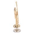 thumbnail image 4 of Modèle de Trombone Miniature, Décoration Réaliste Portable pour la Maison, 4 of 8