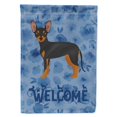 thumbnail image 1 of Carolines Treasures CK6040CHF 28 x 0.01 x 40 in. Prague Ratter Welcome Flag Canvas House Size, 1 of 4