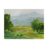 Trademark Fine Art 'Mountain Backdrop III' Canvas Art by Ethan Harper