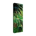 thumbnail image 2 of Trademark Fine Art 'Just Fronds' Canvas Art by Suzanne Wilkins, 2 of 4