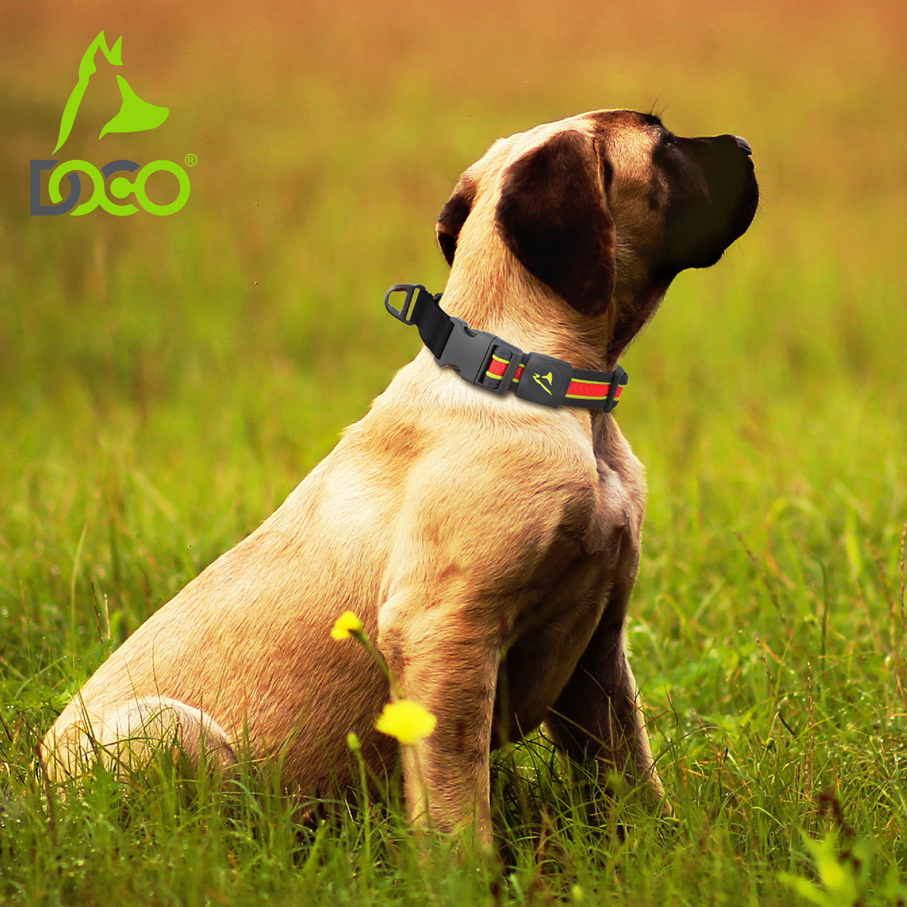 DOCO Solar Martingale Collar for Medium and Large Dogs, Heavy-Duty Reflective Mesh Collar