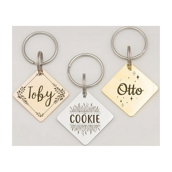 Anavia Stainless Steel Double Sided Diamond Name and Frame Engraved Dog & Cat ID Tag, Multi-color, S