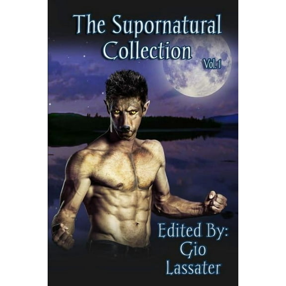 The Life Of The Blessed Virgin Mary, Tr. By P. Power (Hardcover)