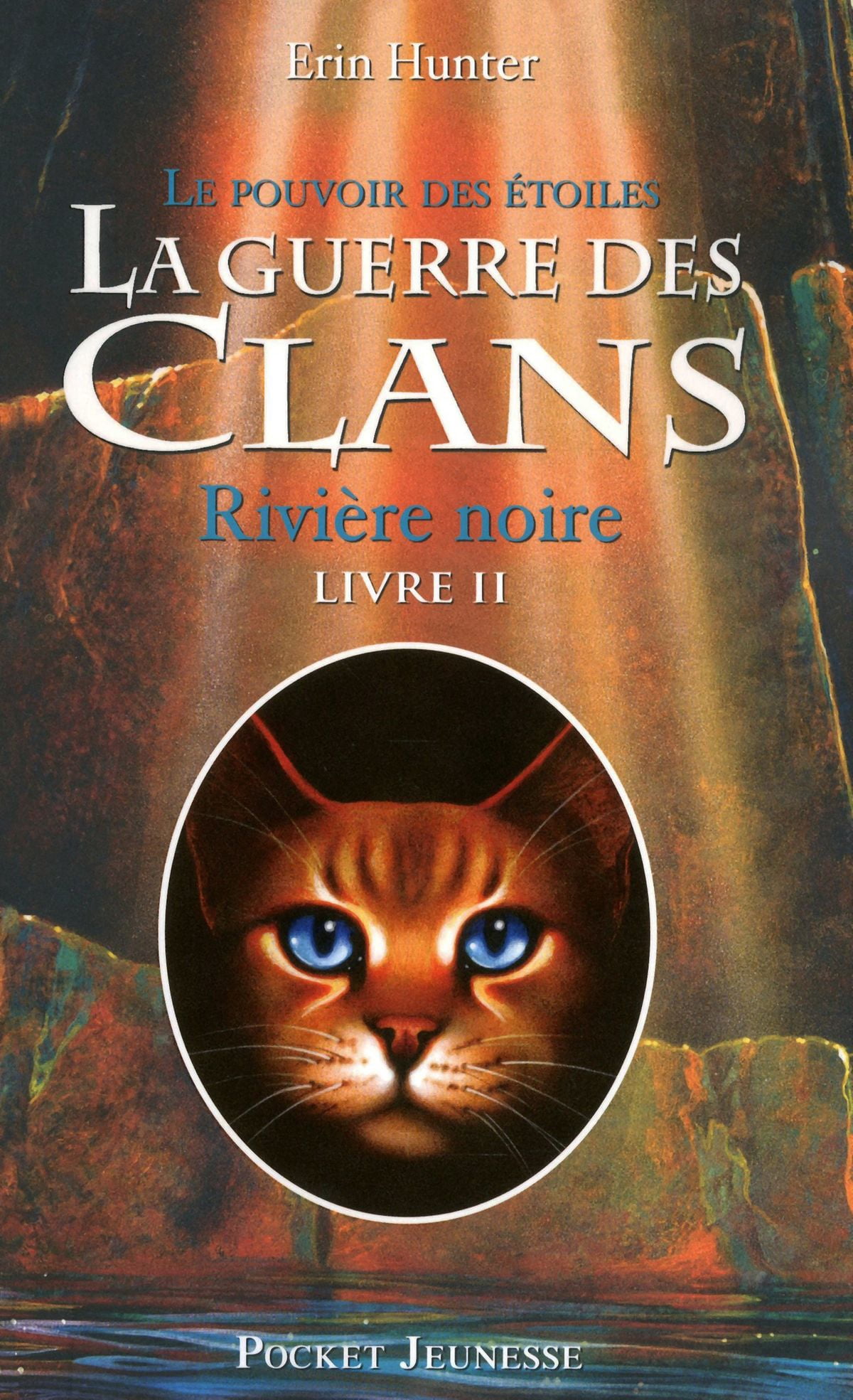 La Guerre Des Clans Cycle 5 Tome 4 Résumé