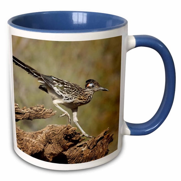 3drose, , Arizona, Buckeye. Greater Roadrunner on Log., 15oz Two-tone Blue Mug