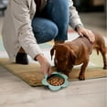 thumbnail image 6 of P.T. Supply Co. Green Flower Shaped Silicone Pet Bowl, with Non-Slip Suction Base, Durable Feeding Dish for Dogs & Cats, 6 of 7