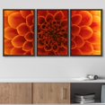 thumbnail image 3 of wall26 Framed Canvas Print Wall Art Orange Chrysanthemum Flower Petal Close Up Floral Botanical Photography Modern Rustic Relax/Calm Colorful for Living Room, Bedroom, Office - 16"x24"x3 Bl, 3 of 5
