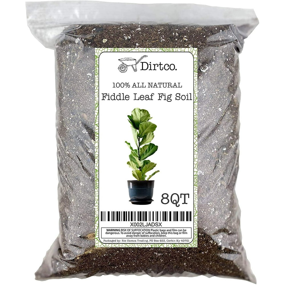 Hand Blended Fiddle Leaf Fig Potting Soil, All Natural Fiddle Leaf Fig