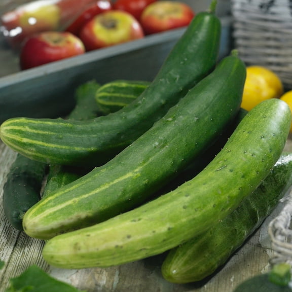 Garden Sweet Burpless F1 Hybrid Cucumber Seeds - 3 g Packet ~100 Seeds - Non-GMO, F1 Hybrid - Vegetable Garden - Cucumis sativus