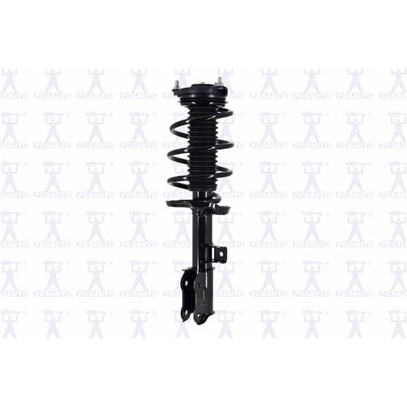 Suspension Strut and Coil Spring Assembly