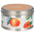 thumbnail image 6 of 11.5oz 2-wick Tin Candle - Champagne & Citron, 6 of 8