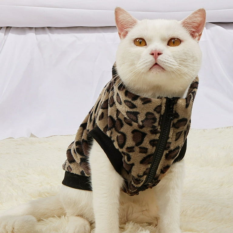 Fluffy cat online pajamas