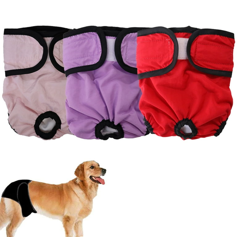 Incontinence pants 2025 for dogs
