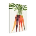 thumbnail image 2 of Annie Warren 'Vibrant Bunch II' Canvas Art, 2 of 4