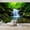Color 1, variant on Wallpaper Tropical Rainforest Sunlight Dense Green Jungle foliage Peel and Stick Wall Murals 100"H x 144"W Removable PVC Wall Paper Self-Adhesive Wall Paintings Art Decor for Bedroom Living Room