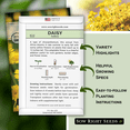 thumbnail image 2 of Yellow Daisy Seeds - Non GMO Heirloom Varieties for your Flower Garden - 3 Pack, 2 of 5