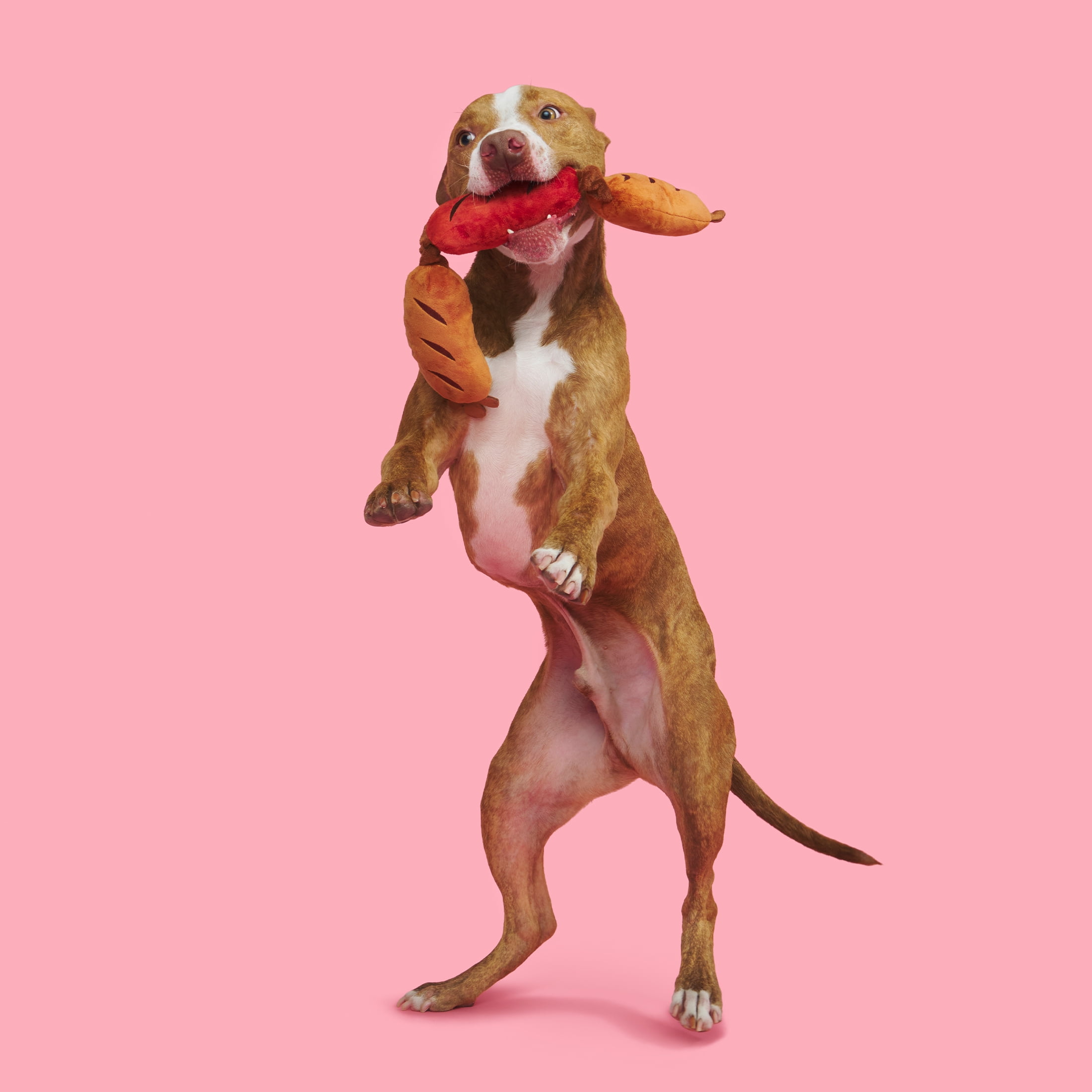 BARK Sausage Lickin' Links Plush Dog Toy, with Whip n Flip, Squeakers & Crazy Crinkle for All Dogs