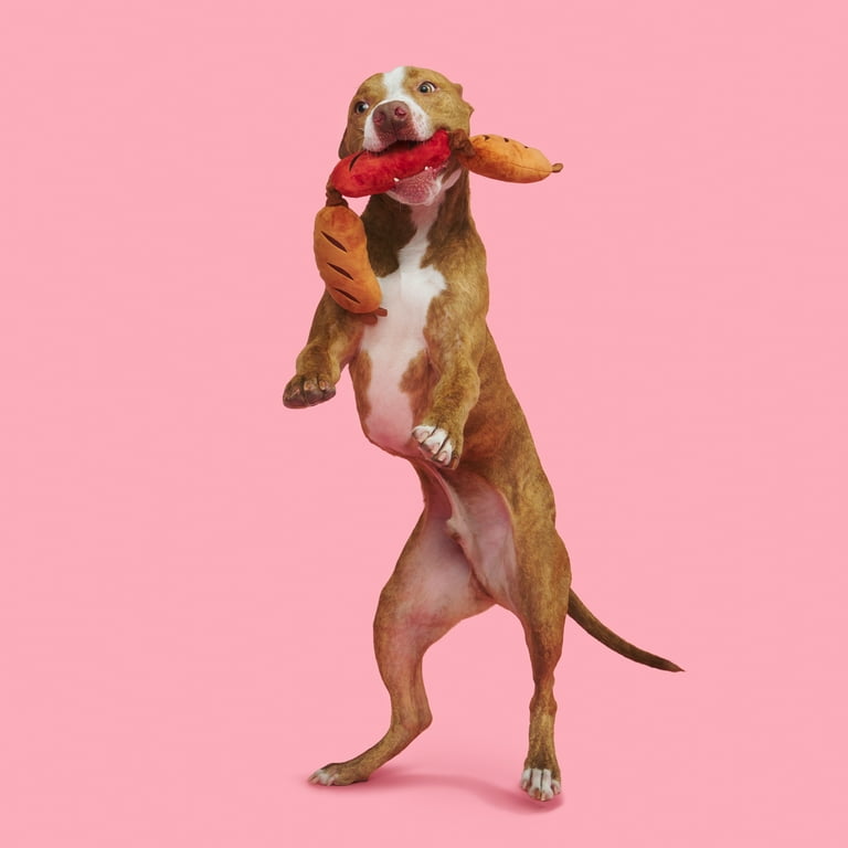 BARK Plush Dog Toys Sausage Lickin Links with Whip n Flip Squeakers Crazy Crinkle for All Dogs