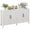 White, variant on HOMCOM Storage Cabinet, Buffet Sideboard with Barn Door, Shelf, White