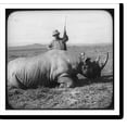thumbnail image 2 of Historic Framed Print, [Theodore Roosevelt in Africa standing behind dead rhino and holding rifle], 17-7/8" x 21-7/8", 2 of 9