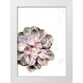 thumbnail image 1 of Artographie Studio 18x24 White Modern Wood Framed Museum Art Print Titled - Succulent Plant 02, 1 of 4
