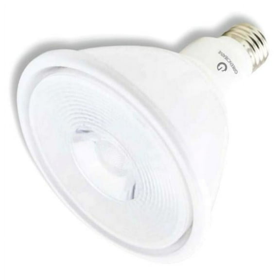 Green Creative 97773 - 19PAR38HO/830FL40/277V PAR38 Flood LED Light Bulb