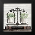 thumbnail image 2 of Jacobs, Cindy 20x20 Black Modern Framed Museum Art Print Titled - Balanced Plant Life, 2 of 5