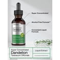 thumbnail image 3 of Suplemento de extracto de raíz de diente de león Horbäach, 60 ml, sin alcohol, 3 of 7