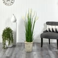 thumbnail image 3 of Nearly Natural 4.5ft. Wheat Plume Grass Artificial Plant in Country White Planter, 3 of 4